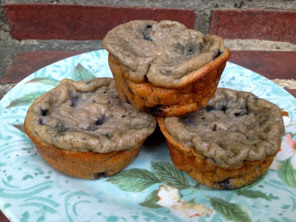 High Protein Blueberry Muffins Notes From A Messy Kitchen