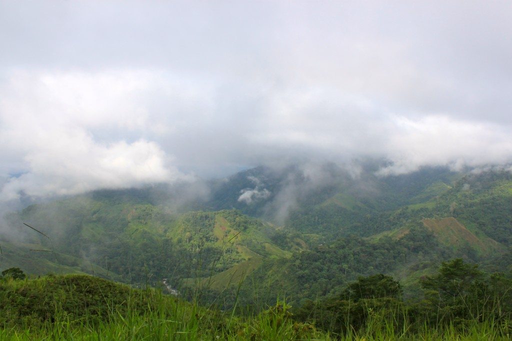 A beautiful view on the first day.  You can see some spots that are bare from where coca crops damaged the land.