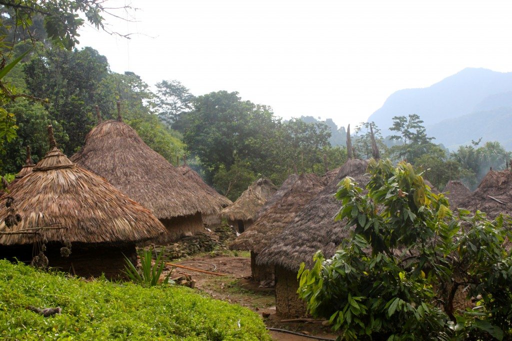 Kogi huts along the hike.  